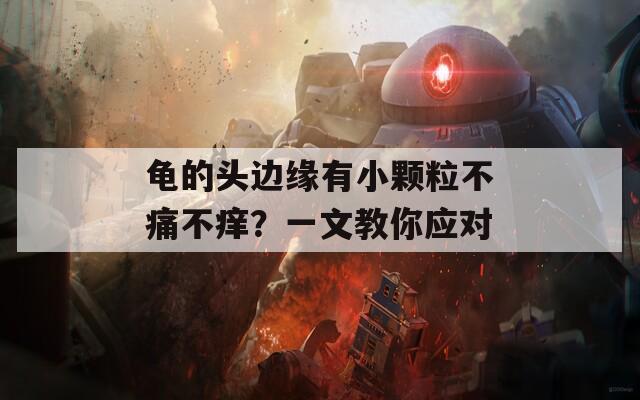 龟的头边缘有小颗粒不痛不痒？一文教你应对