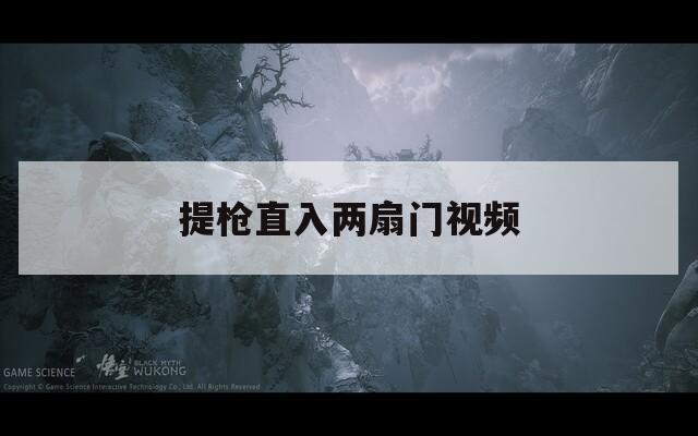 提枪直入两扇门视频