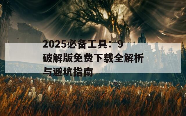 2025必备工具：9破解版免费下载全解析与避坑指南