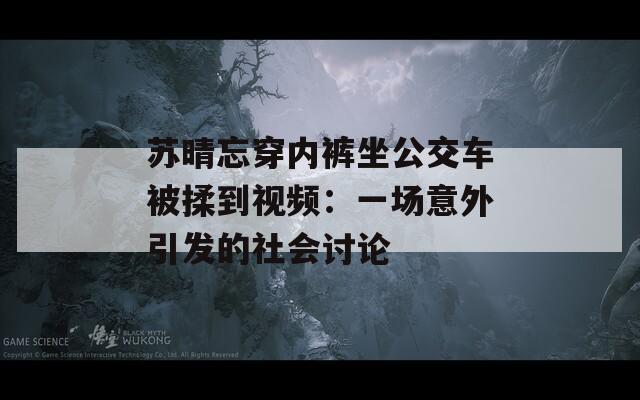 苏晴忘穿内裤坐公交车被揉到视频：一场意外引发的社会讨论