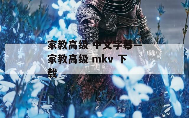 家教高级 中文字幕—家教高级 mkv 下载