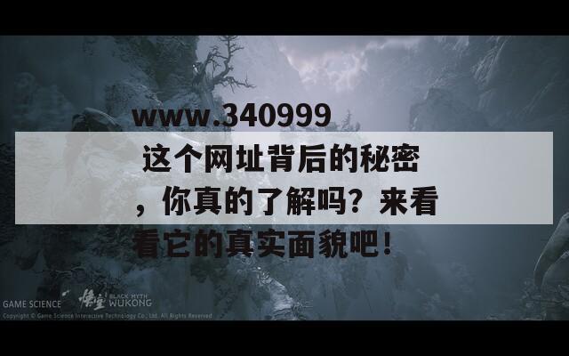 www.340999 这个网址背后的秘密，你真的了解吗？来看看它的真实面貌吧！