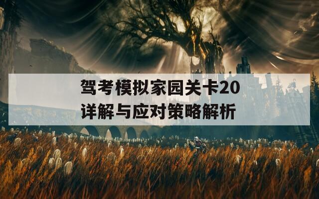 驾考模拟家园关卡20详解与应对策略解析