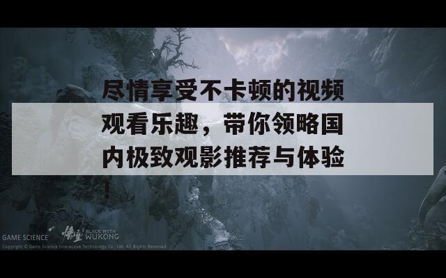 尽情享受不卡顿的视频观看乐趣，带你领略国内极致观影推荐与体验！