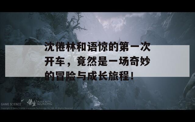 沈倦林和语惊的第一次开车，竟然是一场奇妙的冒险与成长旅程！