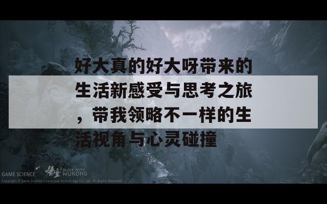 好大真的好大呀带来的生活新感受与思考之旅，带我领略不一样的生活视角与心灵碰撞