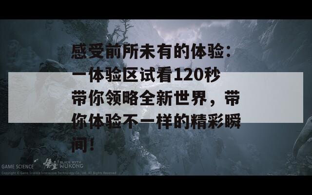 感受前所未有的体验：一体验区试看120秒带你领略全新世界，带你体验不一样的精彩瞬间！