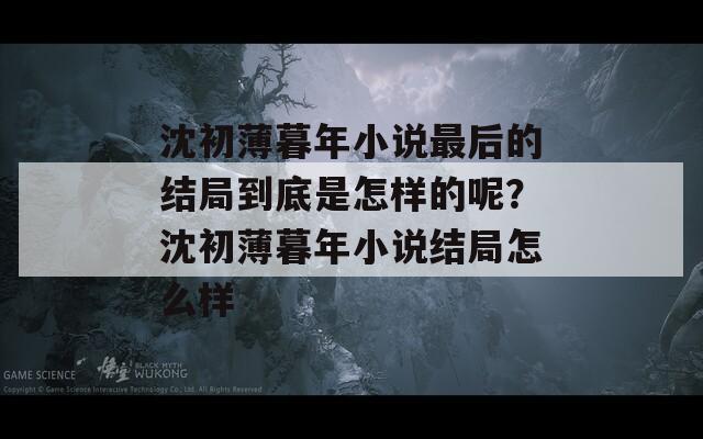 沈初薄暮年小说最后的结局到底是怎样的呢？沈初薄暮年小说结局怎么样