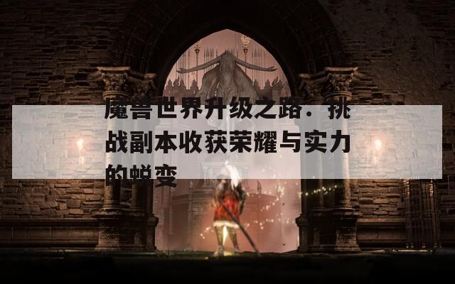 魔兽世界升级之路：挑战副本收获荣耀与实力的蜕变