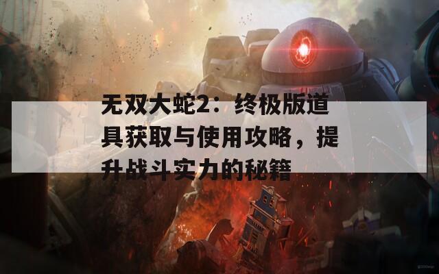 无双大蛇2：终极版道具获取与使用攻略，提升战斗实力的秘籍