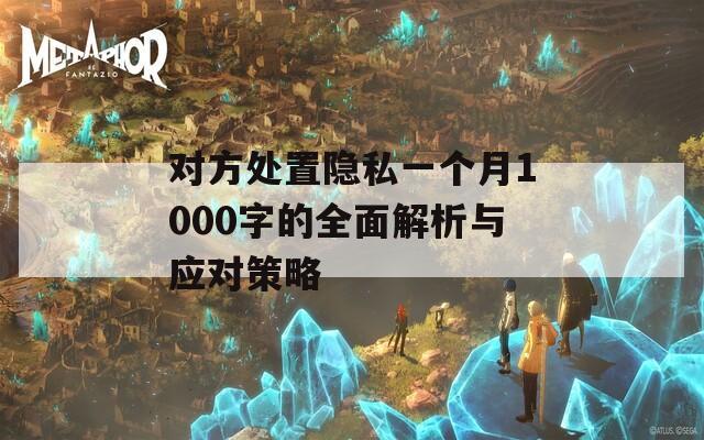 对方处置隐私一个月1000字的全面解析与应对策略