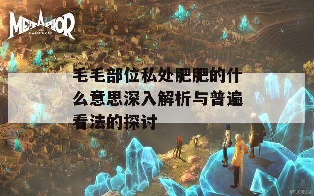 毛毛部位私处肥肥的什么意思深入解析与普遍看法的探讨