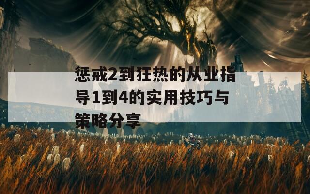 惩戒2到狂热的从业指导1到4的实用技巧与策略分享