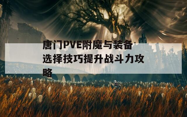 唐门PVE附魔与装备选择技巧提升战斗力攻略