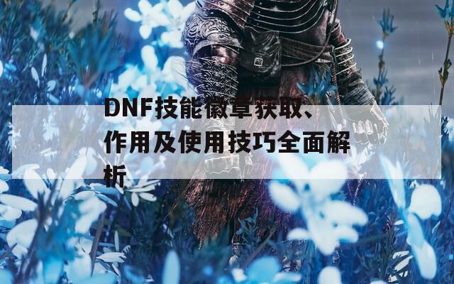 DNF技能徽章获取、作用及使用技巧全面解析