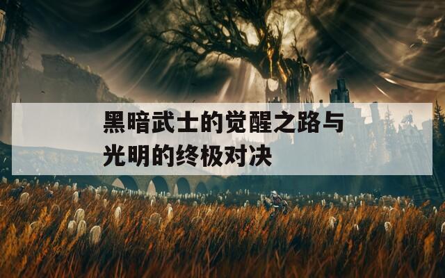 黑暗武士的觉醒之路与光明的终极对决