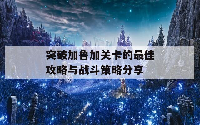 突破加鲁加关卡的最佳攻略与战斗策略分享