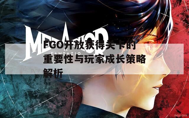 FGO开放获得关卡的重要性与玩家成长策略解析