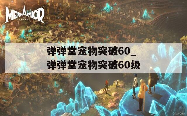 弹弹堂宠物突破60_弹弹堂宠物突破60级