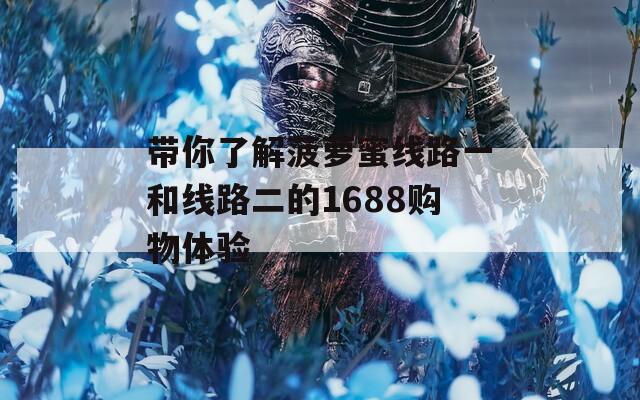 带你了解菠萝蜜线路一和线路二的1688购物体验