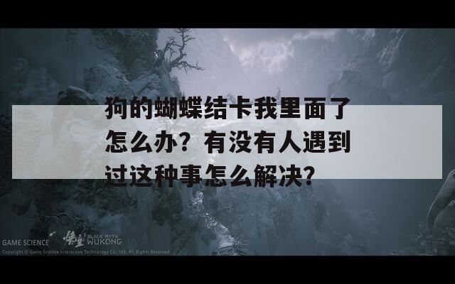 狗的蝴蝶结卡我里面了怎么办？有没有人遇到过这种事怎么解决？