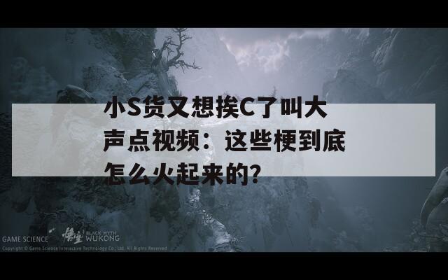小S货又想挨C了叫大声点视频：这些梗到底怎么火起来的？