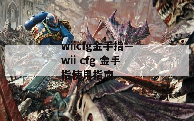 wiicfg金手指—wii cfg 金手指使用指南