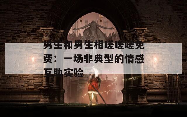 男生和男生相嗟嗟嗟免费：一场非典型的情感互助实验