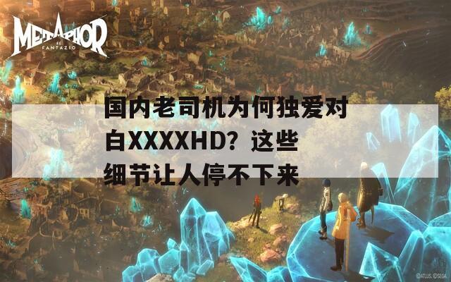 国内老司机为何独爱对白XXXXHD？这些细节让人停不下来