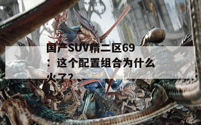 国产SUV精二区69：这个配置组合为什么火了？