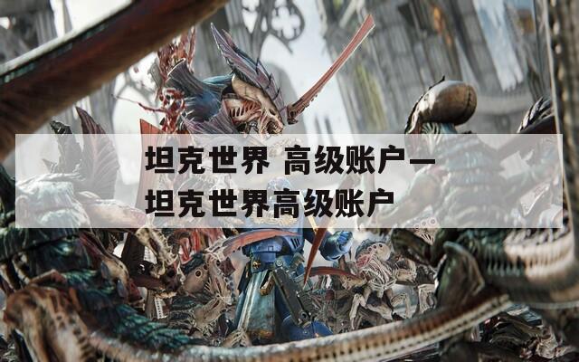 坦克世界 高级账户—坦克世界高级账户